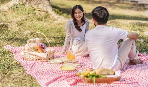 couple on a picnic date